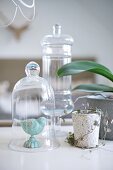 Bird figurine under glass cover next to ornate plant pot and orchid leaves