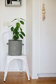 Green houseplant in zinc pot on vintage chair next to wooden balls threaded on cord as handle of cupboard door