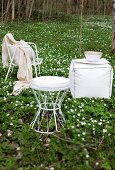 White wire chairs and stool in woodland clearing carpeted in wood anemones