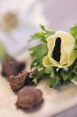 White anemone flower and tuber