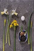 Various narcissus, bulb in dish and white egg on stone surface
