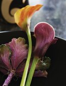 Calla lilies and ornamental cabbage in dark bowl