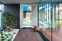 Glazed foyer with planted strip in contemporary house; view of indoor pool through glass door