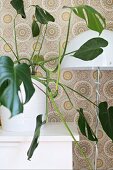 Philodendron and standard lamp with white metal lampshade against wallpaper with graphic, floral retro pattern