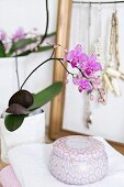 Potted orchid and cosmetic jar on stacked towels; jewellery on rack in background