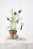 Snake's head fritillaries and ball of string on table
