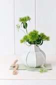 Green sweet William in white designer vase by Dik Scheepers