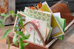 Packets of seeds, gardening reading materials and floral greetings cards in old record rack