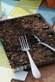 Vintage kitchen implement such as baking tray and cutlery being used as gardening tools
