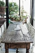 Plants in urn on rustic wooden table and chairs painted white in loggia-style room