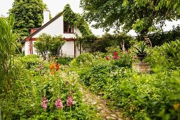 Blühender Garten mit gepflastertem Weg, im Hintergrund schlichtes Wohnhaus, teilweise berankt