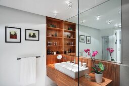 Washstand with trough-like sink on wooden washstand on mirrored wall and custom fitted shelves in niche