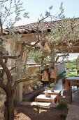 Blick durch die Zweige eines Olivenbaums auf überdachte Terrasse mit Outdoor-Möbeln in provenzalischem Stil