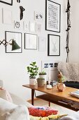 Potted plants on wooden coffee table in corner of living room and gallery of framed pictures on wall