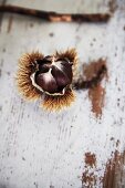 Sweet chestnuts in split shell