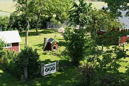 View down into sunny garden with small wooden shed
