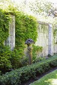 Pflanzgefäss auf Steinstele zwischen niedrigem Heckenstreifen und berankter Gartenmauer