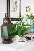 Antique lantern and potted peace lily