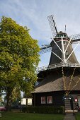 Restaurierte Windmühle mit prächtigem Kastanienbaum in spätsommerlicher Stimmung