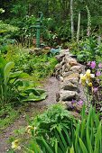 Path running along stone wall in densely planted garden