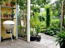 Kettle grill and potted plants on shelves on veranda with wooden floor and view into summery garden