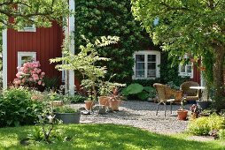 Blick vom Garten auf möblierten Vorplatz mit Kiesboden, rotbraun gestrichenes Holzhaus, in Sommerstimmung
