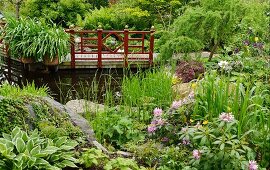 Wooden bridge with Oriental balustrade over pond with densely planted margins