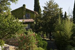 Climber-covered gable end of converted historical building with stone walls, old trees and oleander in surrounding garden