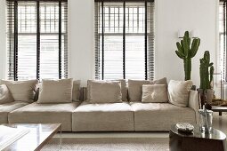 Modern couch with ecru cover and matching scatter cushions in front of half-closed louvre blinds with large cacti to one side