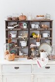 White-painted dresser with crockery and autumnal decorations in old display cases on top