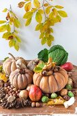 Herbstliches Stillleben aus Kürbissen, dekoriert mit Nüssen, Birnen und Kohlsorten