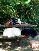 Black and white fur cushions on rustic bench at table set for breakfast
