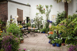 Courtyard with various plants in blue-glazed ceramic pots and bistro table and chairs in background