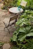 Garden chairs and table on terrace surrounded by beds of foliage plants