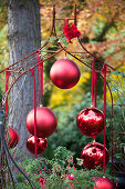 Matte and glossy red baubles hanging from metal trellis arch
