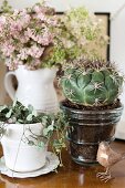 Stillleben aus Grünpflanze in weißem Porzellantopf und Kaktus in braunem, glänzendem Porzellantopf, davor Vogelfigur, im Hintergrund Blumen in Vase