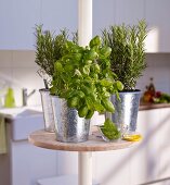 Potted herbs on round minibar on telescopic pole in kitchen