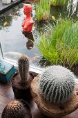 View past cacti and through terrace window of red bust of woman in koi pond