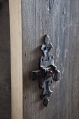 Wrought iron fitting on wooden door