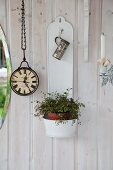 Foliage plant in white, wall-mounted plant holder on white wooden wall
