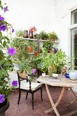Seating area with antique armchair, rustic wooden table and plant stand on terrace