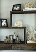 Coral, family photos and drinks tray on wooden cabinet with meandering shelving elements
