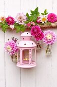 Pink lantern, garland of dahlias and dahlias in tiny bottles hung on white wooden wall