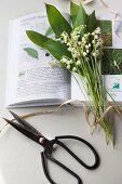 Lily of the valley and garden shears lying on open book