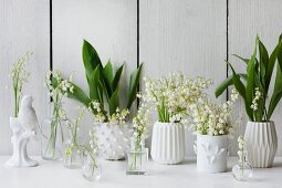 White vases of lily of the valley