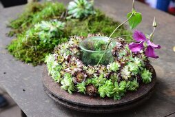 Pink flower in glass container in centre of succulent wreath on rusty metal dish
