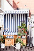 Beach chair on balcony decorated with potted vegetable plants