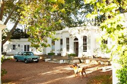 Vintage car parked in sunny front courtyard shaded by trees in front of traditional, Colonial villa with terrace