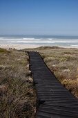 Long boardwalk leading to sea