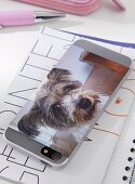 Photo of dog printed on adhesive film and stuck on mobile phone